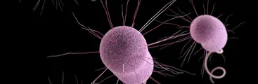 La pandemia impulsó el aumento de infecciones y muertes por bacterias resistentes a antibióticos en Estados Unidos, revela informe