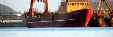Gobierno pone suma urgencia a proyecto que declara nulidad de la corrupta Ley de Pesca