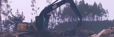 Guardia de seguridad de Maxcon en predios de Forestal Arauco denuncia vulneración laboral y múltiples irregularidades