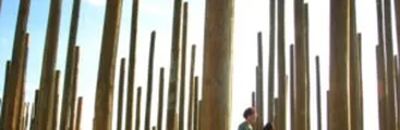 Corte de San Miguel confirma condenas de ex uniformados por crímenes de 11 campesinos en Paine en 1973