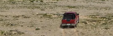 Vicepresidente de asociación minera de Copiapó destruyó parte del desierto florido con su camioneta y luego se tomó fotos