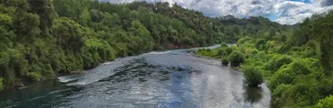 Colbún retiró proyecto de central de pasada sobre el río San Pedro