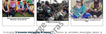 Hackeo a Fuerzas Armadas de México revela seguimiento a Mon Laferte