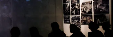 Austria: Negacionistas de los crímenes nazi no podrán trabajar en el sector público incluyendo policías y militares