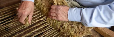 Investigan uso textil de la Pita junto a artesanos y productores chilenos