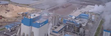 Autoridad sanitaria prohíbe funcionamiento a Celulosa Arauco (Celco) tras derrame y emanaciones tóxicas en Constitución