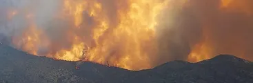 Encuentran cuerpo calcinado de voluntario que combatía incendio forestal en Quilpué