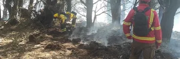 Incendio forestal afecta Santuario de la Naturaleza de Hualpén