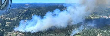 Alcaldesa de Santa Juana apunta a escasez hídrica y desechos forestales como principales causantes de incendio en la comuna