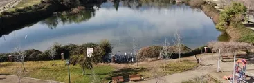 Tribunal Ambiental rechazó reclamación de club de golf La Dehesa contra declaratoria de humedal urbano del Tranque La Poza