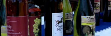 Elaboran brandy con uvas del valle del Itata. Viñateros indican que si el Estado no aporta financiamiento, será "un estudio más"