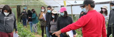 Agroecología y manejo sustentable del agua: abren cursos en CET Biobío durante el verano
