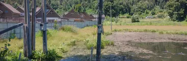 Humedal urbano Pichi Mapu de Concepción ya tiene dos intervenciones pese a ser el primero en ser declarado como tal en la comuna