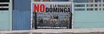 Defendemos la vida y derechos de todos los seres