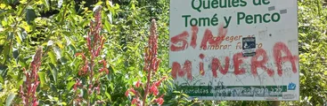 Aún al teléfono: Vecinas/os de Penco acusan permanencia de llamados para intentar favorecer proyecto de tierras raras