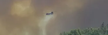 Incendios: Tan previsibles como evitables si se regula la industria forestal