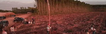 Movimiento de Trabajadores Rurales Sin Tierra ocupa tres fundos contra el monocultivo de eucalipto en Brasil