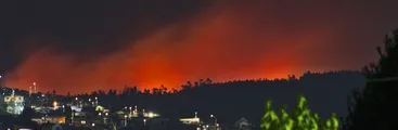 Incendios reactivados en Biobío vuelven a evidenciar la necesidad de regular la industria forestal