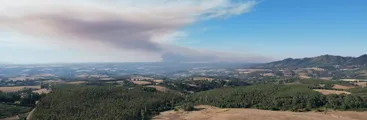 Comunidades mapuche en Galvarino se refieren a la catástrofe forestal por incendios