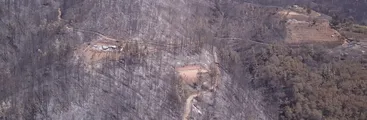 "Si no se regula el tema forestal nos van a terminar matando a todos" advierte vecina damnificada por megaincendio en Nacimiento