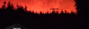Red por la Superación del Modelo Forestal propone un Decreto de restauración forestal ecológica