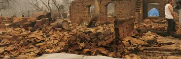 El negocio forestal amenaza con exterminar las comunidades rurales del Maule, Ñuble, Biobío, Araucanía y Los Ríos