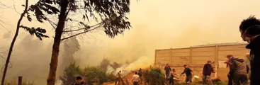 El oscuro interés de centrar el debate en el origen y no la expansión de los incendios forestales