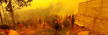 Municipios del Biobío exigen nueva legislación sobre el modelo forestal: Las voces desde Santa Juana, San Rosendo y Curanilahue