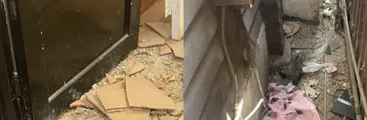 Pese a alza en los aranceles: Estudiantes acusan plagas de ratones y baños con hongos en el Instituto de Artes de la Universidad Católica de Valparaíso 