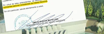 Central Rucalhue: Cinco organismos estatales presentaron informes donde apuntan a que proyecto hidroeléctrico no es de interés nacional