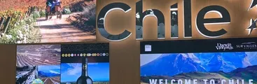 Chile es cuarto exportador mundial de vino, pero a qué costo