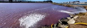Talcahuano: Seremi de salud inició sumario contra pesqueras y Essbio, tras vertimiento de residuos industriales en laguna Redacamo