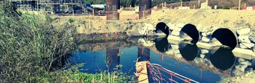 ¿Tendrá futuro el Santuario de la Naturaleza Laguna Grande - Humedal Los Batros de San Pedro de la Paz?