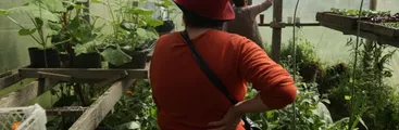 Chile será sede de XI Congreso Latinoamericano de Agroecología este 2026