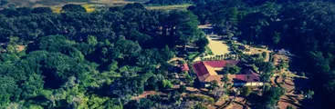 Talleres y experiencias artísticas marcan cartelera del Parque Museo Pedro del Río Zañartu para las vacaciones de invierno