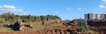 Vecinas/os denuncian degradación del último bosque nativo en la ribera del río Andalién en Concepción