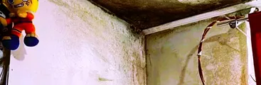 Filtraciones, humedad y hongos: viviendas sociales en Chiguayante deterioradas a solo 3 años de su entrega