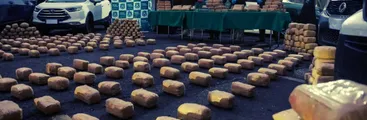 Propuesta de Constitución de los políticos hace inconstitucional la penalización del narcotráfico advierten académicos