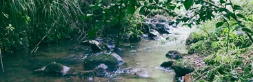 Minera de tierras raras posee derechos de aguas del lugar donde busca instalarse en Penco: Dice no ocuparla en proceso minero