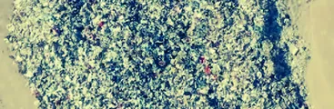 En ocho años Chile importó 161 mil toneladas de ropa de segunda mano: Informe plantea alta probabilidad de que residuos textiles estén en vertederos