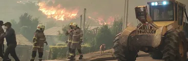 Cartas a Resumen - Las forestales están quemando a Chile ¡Basta ya de este modelo forestal ecocida!