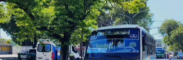 Detienen a dos conductores de transporte público tras arrojar positivo a cocaína y THC en Concepción