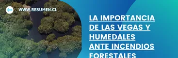 DOCUMENTAL | "La Importancia de las Vegas y Humedales ante Incendios Forestales"