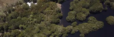 "La Importancia de las Vegas y Humedales ante Incendios Forestales" nuevo documental de Resumen resalta la importancia de estos espacios para prevenir catástrofes