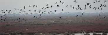 EXPOSICIÓN| MEMORIA ALUNIZAJE: degradación ambiental e impulsos de vida en Talcahuano y Hualpén