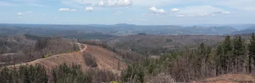 Agrupación ambiental llama a apoyar demanda ante Tribunal Internacional de los Derechos de la Naturaleza por megaincendios en el Biobío