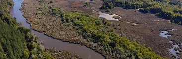 Ruta Piedemonte: ¿Una amenaza para el agua de la provincia de Concepción?