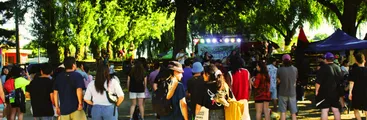CARTAS A RESUMEN| Día del río Renaico se celebrará con actividad artística