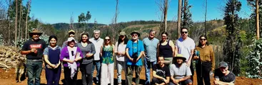 Monocultivos forestales e incendios en la mira: Tribunal Internacional de los Derechos de la Naturaleza analizó impactos socioambientales de la industria forestal