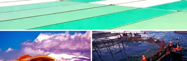 CARTAS A RESUMEN | 2023: El año del marketing verde